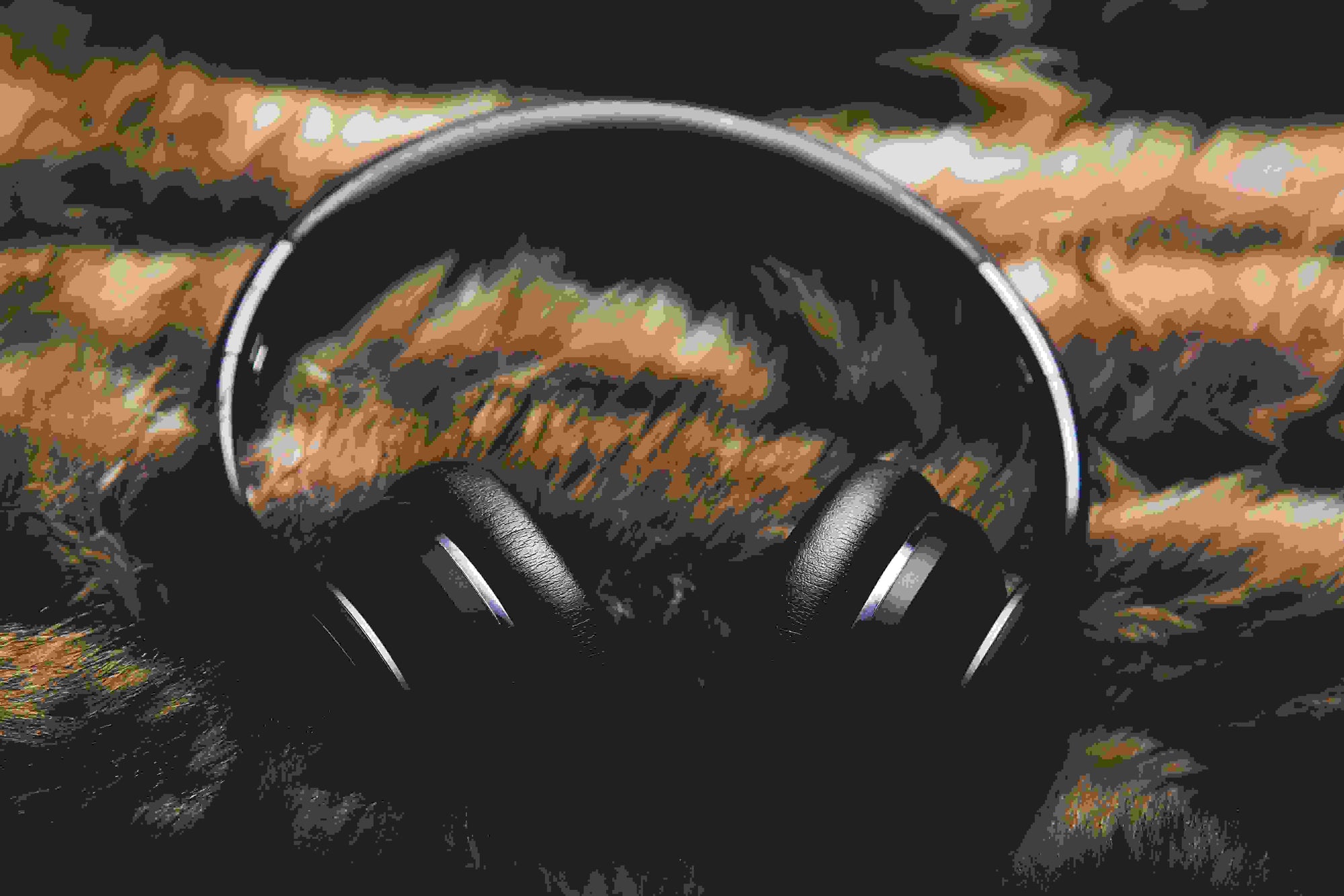 Wireless Headphones that Deliver Premium Performance Without a Premium Price