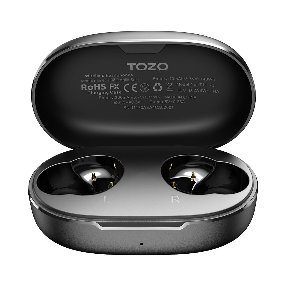 TOZO E1 Charging Case